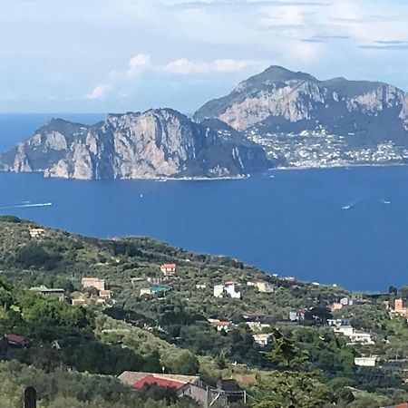 Resort Ferrara Villa Multa Quies マッサ・ルブレンセ エクステリア 写真