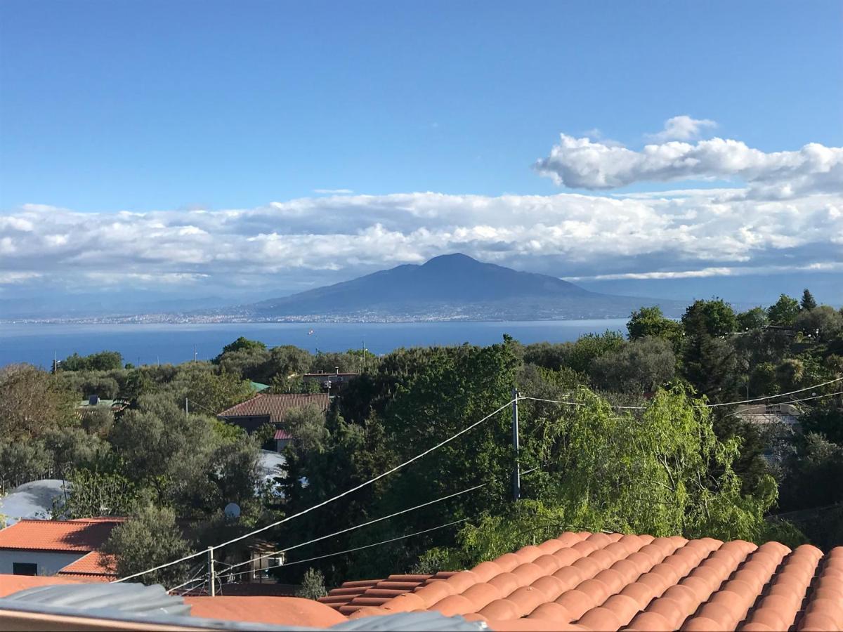 Resort Ferrara Villa Multa Quies マッサ・ルブレンセ エクステリア 写真